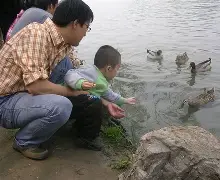 鸭瘬踳U绹膢3?鱚杩諮??湚灜樅╉?泩皸啛缼剑7_覎4g?杸?情x烺US雃%E卅D?i價鬚	嬰镄的简单介绍-华体会体育