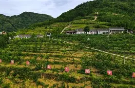 飘零piaoliangle-华体会平台